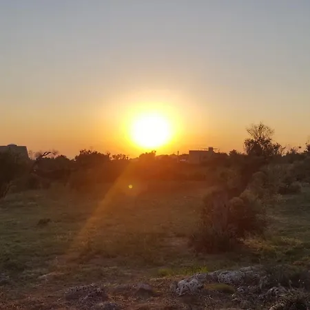 Pierre-parabita فيلة بارابيتا